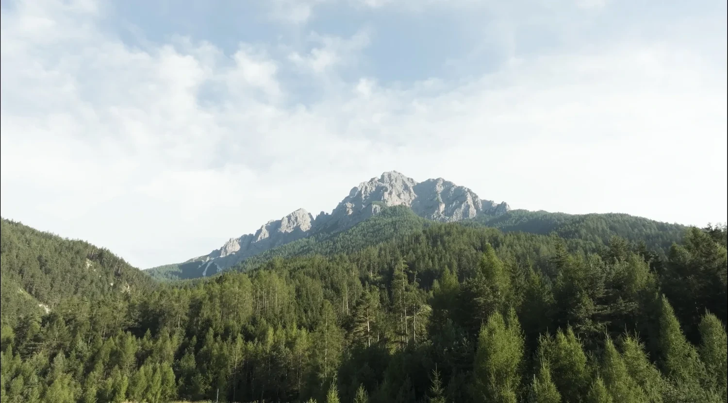 Felsgipfel über bewaldeten Hängen